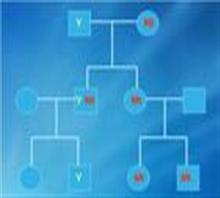 甘肅親子鑒定中心{銀川羊水鑒定費(fèi)用}-蘭州知真包您滿價(jià)格,甘肅親子鑒定中心{銀川羊水鑒定費(fèi)用}-蘭州知真包您滿廠家,蘭州知真健康信息咨詢中心_中國行業(yè)信息網(wǎng)